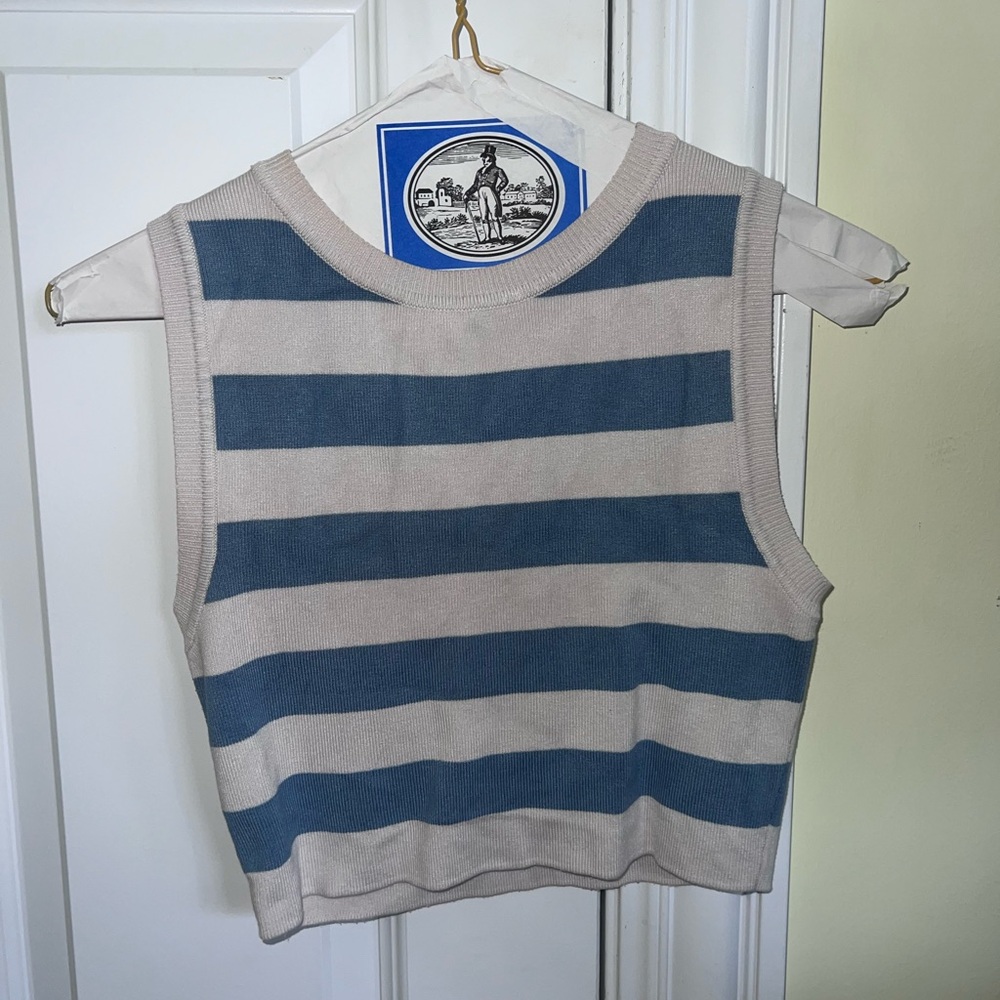 Zara cropped striped tank top